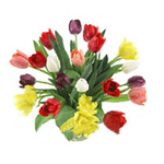Assorted colors of tulips hand tied in a bouquet to celebrate and rejoice.
...
