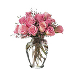 12 pink roses in a vase for th...