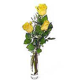 Three Yellow Roses...