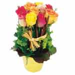 High arrangement of multicoloured roses in a vase (the shape and the colour of t...