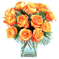 This bouquet of 13 orange roses to a woman in your life dredgers. Surprised woma...