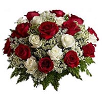 Perfect Red n White Roses