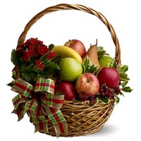 A beautiful classic basket with a fruit mix and a pot plant fit for a casual gif...