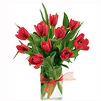 Elegant bouquet of red tulips is perfect for any occasion! Our florists hand-sel...