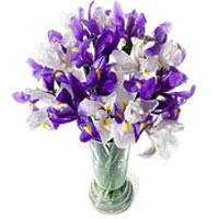 Bouquet with white irises