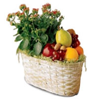 4KG Holiday Fruit Basket