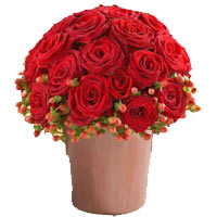Red roses have long been considered the classic ro......  to Ulyanovsk
