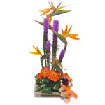 A tropical arrangement with birds of paradise, gerberas, and liatris. This exoti...