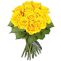 one dozen yellow roses