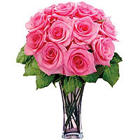 lovely one dozen pink roses, fresh roses for you. long stem, high quality. ...