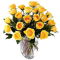 18 yellow roses
