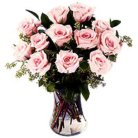 12 pink roses 
