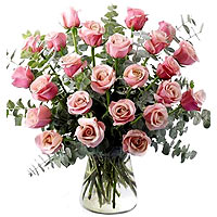 24 pink roses
