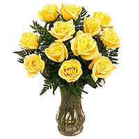 12 yellow roses ...