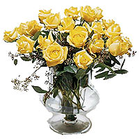 18 yellow roses 