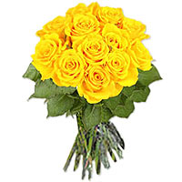 lovely one dozen yellow roses, fresh roses for you. long stem, high quality. ...