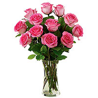 12 pink roses