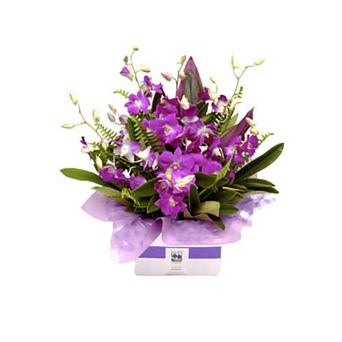 Pristine Purple Flowers