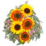 Impress someone with this Sunny Sunflowers of 5-6 that is not only classic but a...