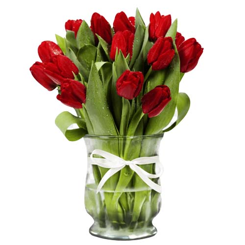 Delicate 12 Red Tulips Bouquet on Valentines Day for Your Loved Ones
