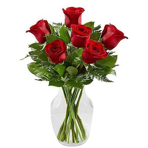 Bright Aesthetic Arrangement of 6 Red Roses in Vase for Someone Special