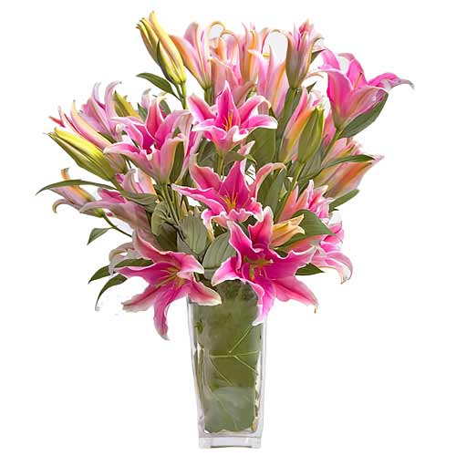 Regal Arrangement of Pink Lilies with Babys Breath for Someone Special