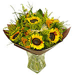 Beautiful and Timeless Sunflowers