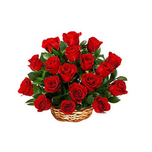 Blooming Basket of 18 Red Roses for Someone Special