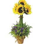Bright Sunflowers in a Vase