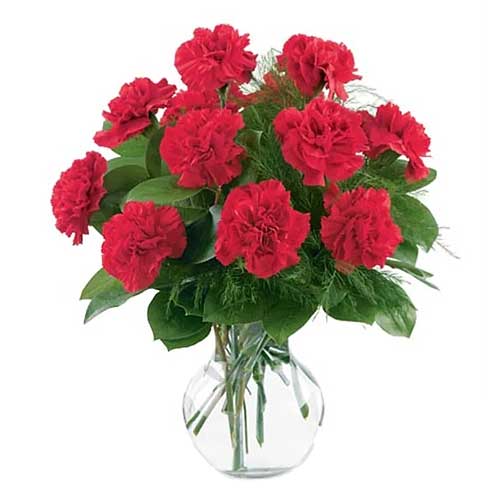 Bright Carnations