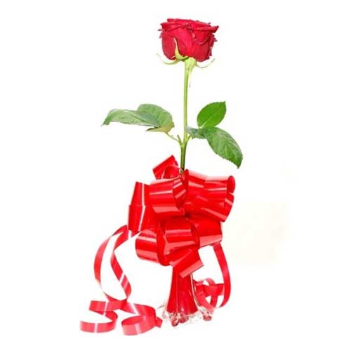 Cherished Valentine Special Single Red Rose in a Vase