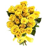 Wonderful Yellow Roses