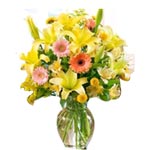 Charming Yellow Gerberas and White