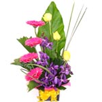 Elegant Colorful Bouquet of Flowers