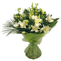 Divine Christmas Special Aqua Lilies