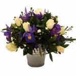 Eye-Catching Flower Arrangement for All Occasions