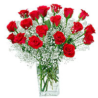 20 Red Roses in Vase