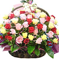 multi Roses in basket