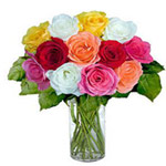 Striking Arrangement of 12 Mixed Roses in a Vase