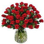 Attention-Getting Bunch of 48 Red Roses in a Vase