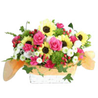 Everlasting Sunshine Flowering Basket