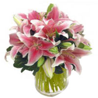 Passionate Bouquet of Star Lilies