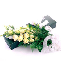 Expressive Collection of 20 White Roses with Green Foliage