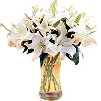 One Dozen White Lilies