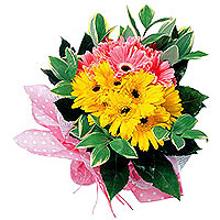 Brighten someone's day with this cheery collection......  to gimhae