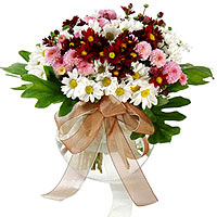 Brighten up their day with the freshest daisies, a......  to South Jeolla_SouthKorea.asp