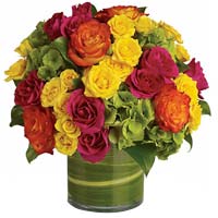 Multi Roses with vase