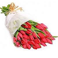 Vibrant fresh cut tulips will make a cheery showin......  to North Jeolla_SouthKorea.asp