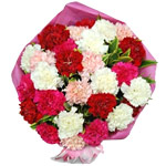 10~36 Carnation Bouquet with baby's breaths or gre......  to Gangneung