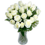 Pure White Rose 20